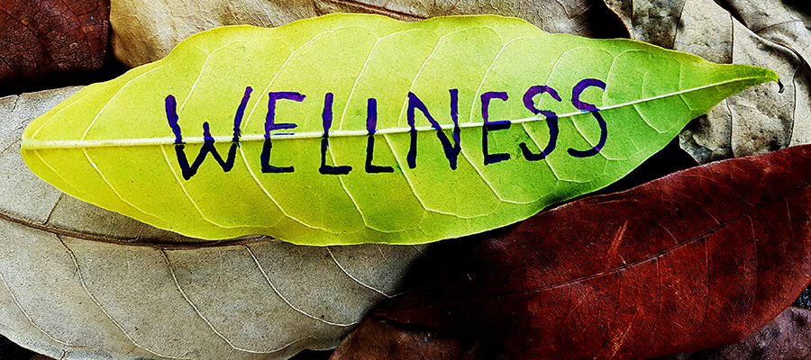 leaves with the word "wellness" written on one of the leaves